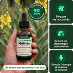 Dégagez le mucus installé et retrouvez une respiration libre en 7 jours