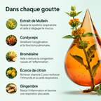 Dégagez le mucus installé et retrouvez une respiration libre en 7 jours
